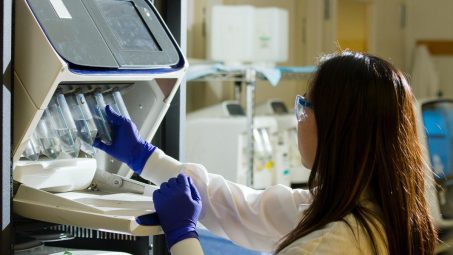 Detectado un brote de hepatitis A en Ibiza con 16 contagiados, 6 de ellos menores