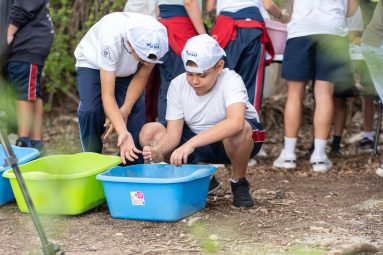 naturactiva_una_iniciativa_donde_la_naturaleza_forma_parte_integral_del_aprendizaje_2