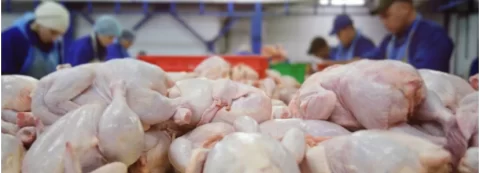 China suspende la importación de productos de pollo y sorgo de algunas empresas de EEUU