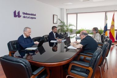 Cons Gobierno 28-5 01