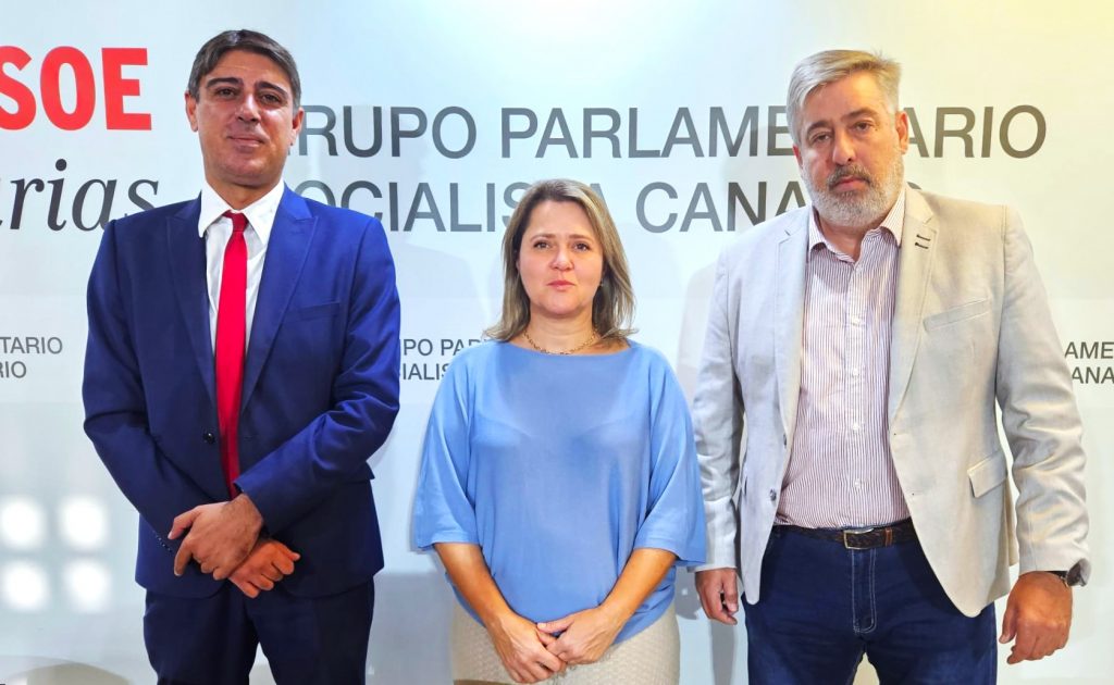 DIPUTADOS LA PALMA