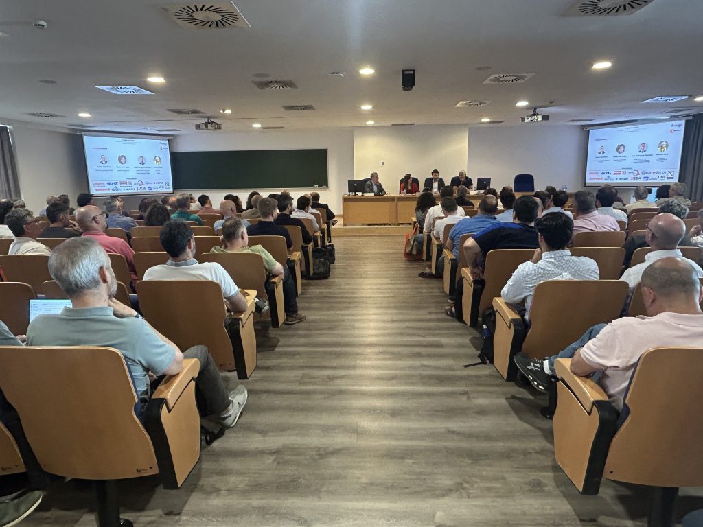 Día del Fuego Málaga_04
