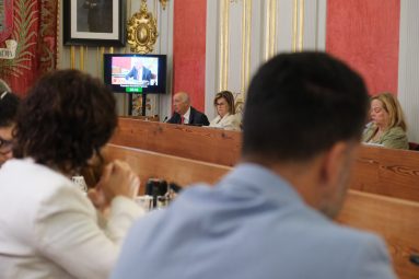 El concejal Hernández Spínola, durante el Pleno del mes de mayo