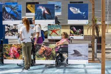 Exposición de fauna marina en FIMAR 2024
