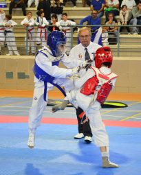 FOTO. Campeonatos de Canarias de Deportes en Edad Escolar de taekwondo (2)