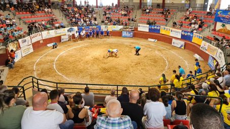 FOTO. Campeonatos de Canarias en Edad Escolar de lucha canaria (3)