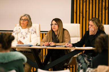 Foto recurso Consejo Discapacidad (1)