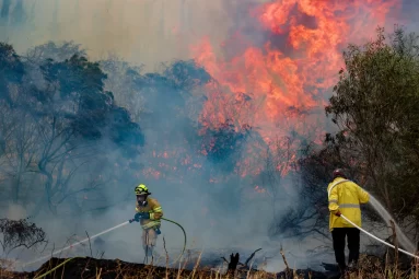 Incendios-forestales-provocan-evacuaciones-masivas-en-Israel