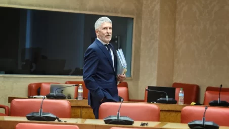 Marlaska-ministro-del-Interior