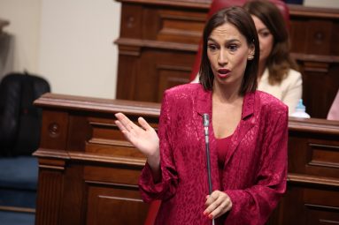 NIRA FIERRO PREGUNTA CONFEERENCIA SECTORIAL