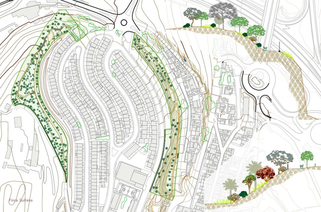 PLANO - El Ayuntamiento renaturalizará 20.000 metros cuadrados del barrio de Hoya Andrea a través del Corredor Verde Tamaraceite-Ciudad Alta