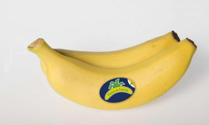[PLÁTANO DE CANARIAS] Comunicado Operación Orotava