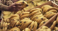 Gracias a más de 16,2 millones de hogares por confiar  cada día en Plátano de Canarias 