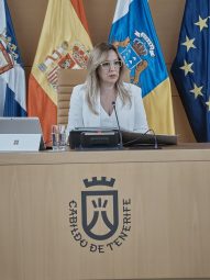 ROSA PLENO DEBATE 002