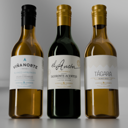 Vinos canarios de altos vuelos-Binter 3
