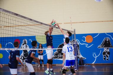 voleibol