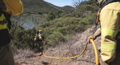 El Cabildo refuerza la concienciación ciudadana para la prevención de incendios y control de especies invasoras