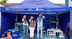 250606_gc_fimar_redpromar_19-2048x1292