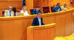 Pablo Rodríguez insiste en el Senado en el uso del superávit de las administraciones canarias para vivienda 