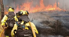 Controlado el incendio forestal declarado ayer en un paraje de Almonte (Huelva)