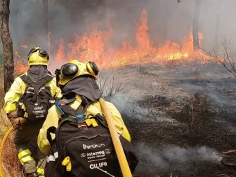 Controlado el incendio forestal declarado ayer en un paraje de Almonte (Huelva)