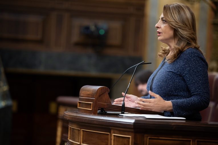 Cristina Valido pleno 260325