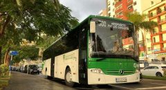 El Cabildo refuerza la movilidad y el transporte público durante las Fiestas Lustrales