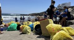 Fred. Olsen Express reúne a un centenar de personas voluntarias en una jornada de limpieza de litoral y fondo marino en El Porís 