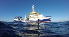 El IEO se suma a un llamamiento internacional para reforzar el programa de observación oceánica OneArgo