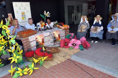 PRESENTACIÓN FERIA DE LA ZAFRA2