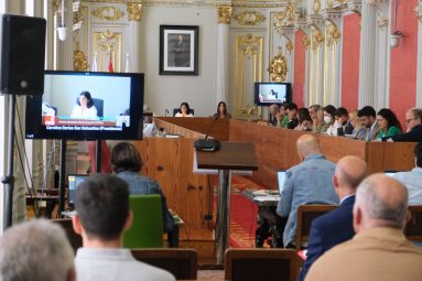 Pleno ordinario del mes de junio