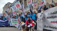 Los veterinarios buscan 500.000 firmas para modificar la normativa de medicamentos
