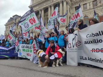 Protestas-de-veterinarios-en-Madrid.-