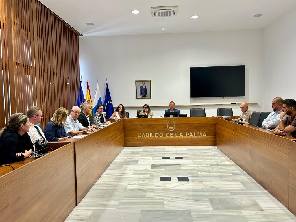 Reunión CIT Insular