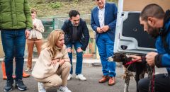 CC y PP proponen la adhesión del Cabildo a un manifiesto por el bienestar animal