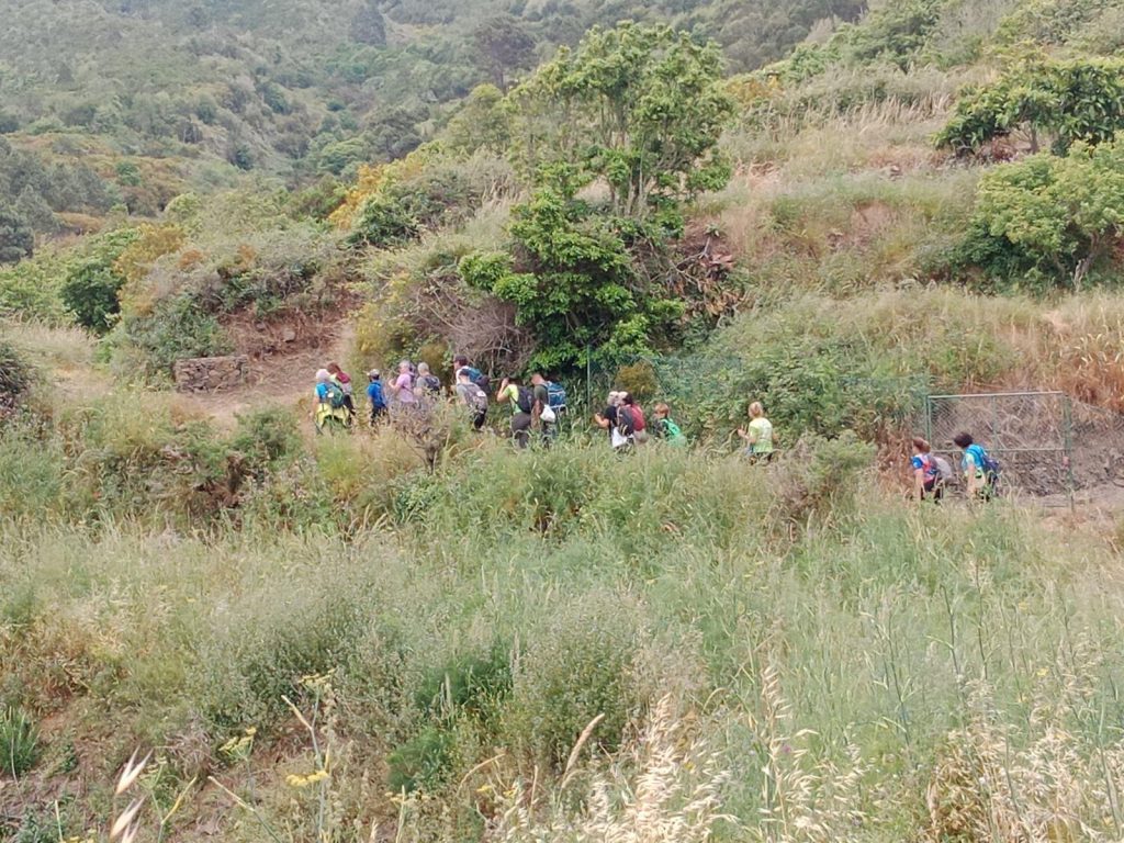 Ruta 4 Pateo 2025 (2)