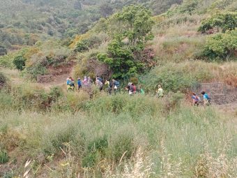 Ruta 4 Pateo 2025 (2)