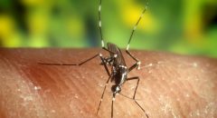 EEUU VIRUS DEL NILO