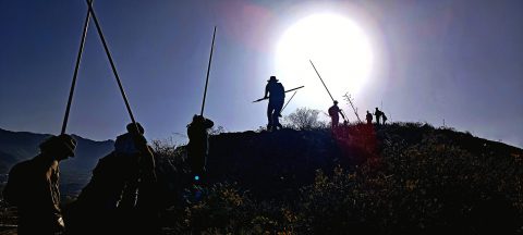 TALLERES DE SALTO DEL PASTOR CANARIO (7) (1)