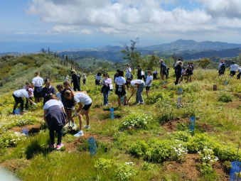 TUI Care Foundation Escolares