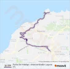 Valle de Guerra y Tejina reclaman mantener el recorrido completo de la línea 224 para garantizar el acceso de los mayores a servicios esenciales