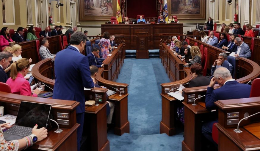 pleno del Parlamento cnario
