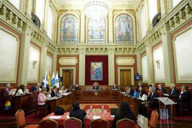 pleno junio 2025