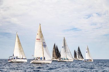 regata crucero