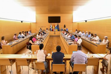 20250721_Consejo_Insular_Admin_Territorial-16