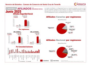 Afiliados_junio_2025_(síntesis)_page-0001