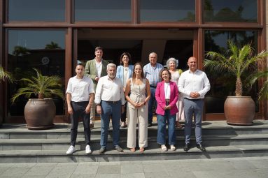 Arona Encuentro Alcaldiìas Comarca Sur