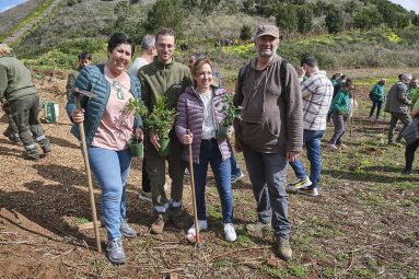 Céntimo forestal