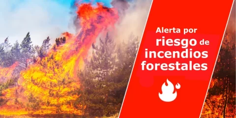 El Cabildo de La Palma pide precaución a la población ante la alerta por riesgo de incendios forestales y altas temperaturas