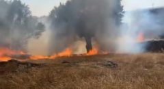 El viento agrava el incendio de Valdecaballeros (Badajoz), con ya casi 2.000 has quemadas